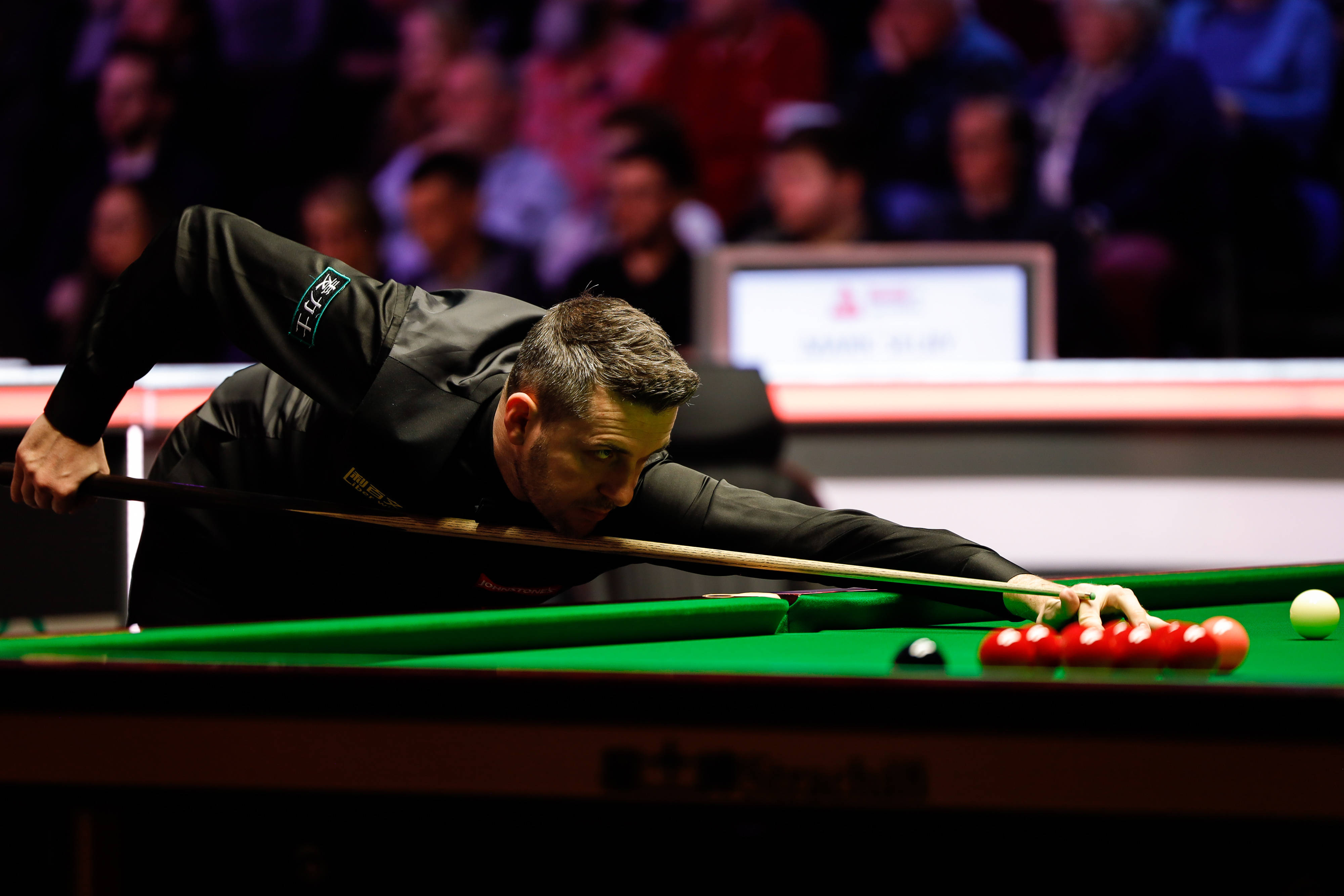 将的成长也 将的成长也