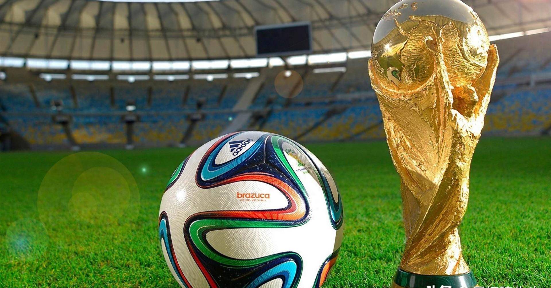 显著特点 显著特点