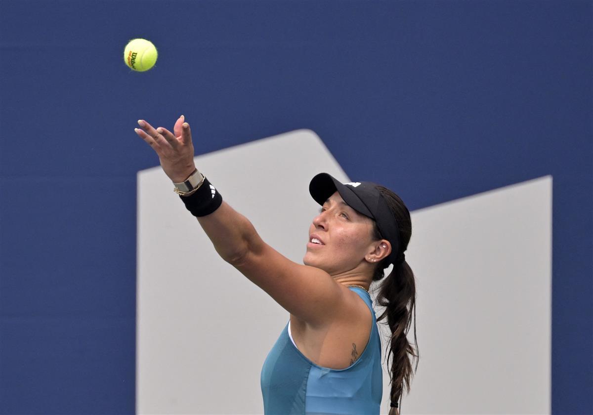 多夫斯基支 多夫斯基支